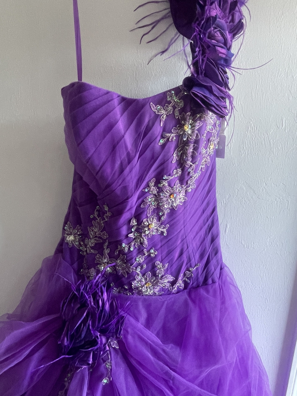 Allure Plum One-Shoulder Floral And Feather Embellished Quinceanera Gown Size 8